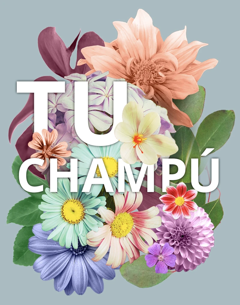 tuChampú - primavera mobile